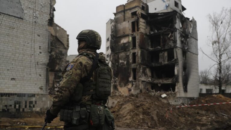 7e3aee64-d482-4aae-8929-c2113dfefb66_alta-libre-aspect-ratio_default_0