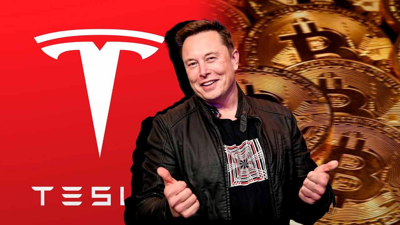 musk-tesla-bitcoin