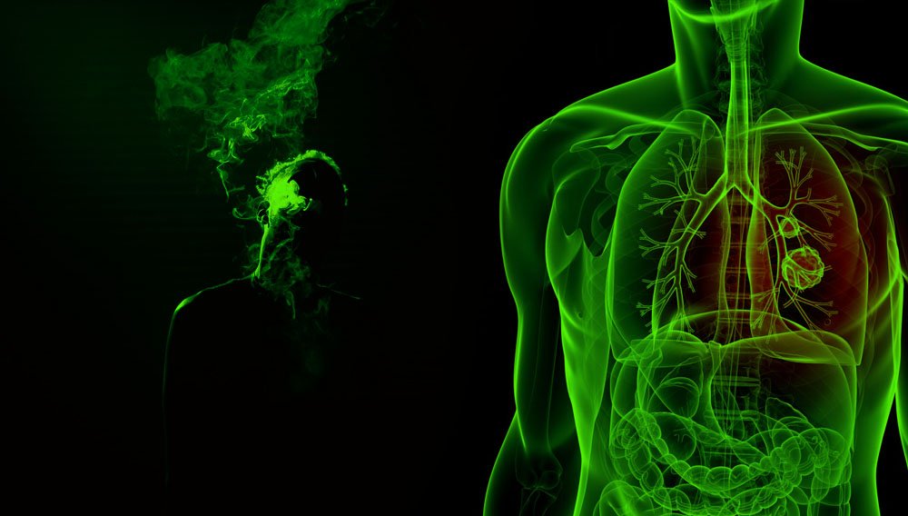 marihuana salud