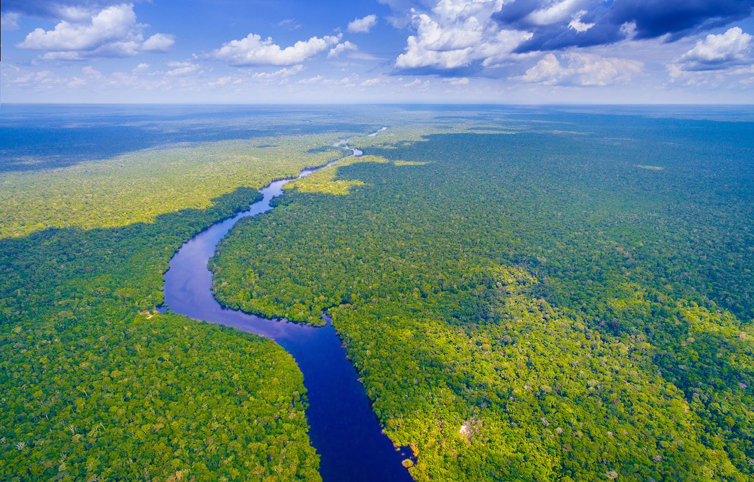 Amazon,River,In,Brazil