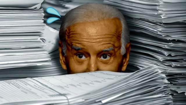 Joe Biden docs