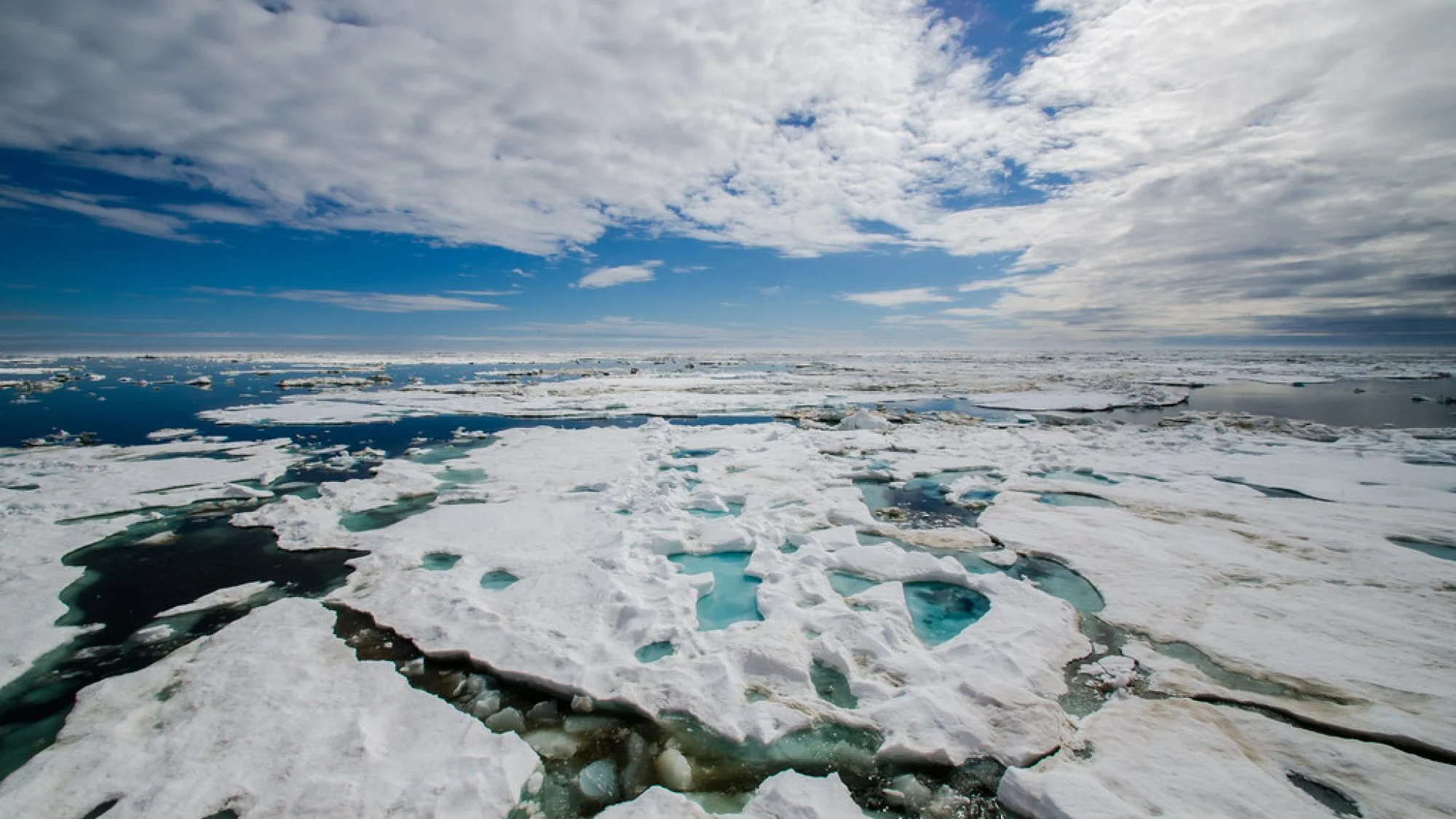 ARCTIC