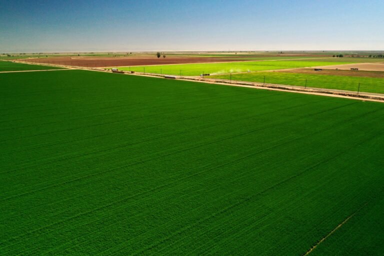 FARMLAND