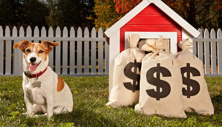 Perro al lado de su casa con bolsas de dinero al frente.