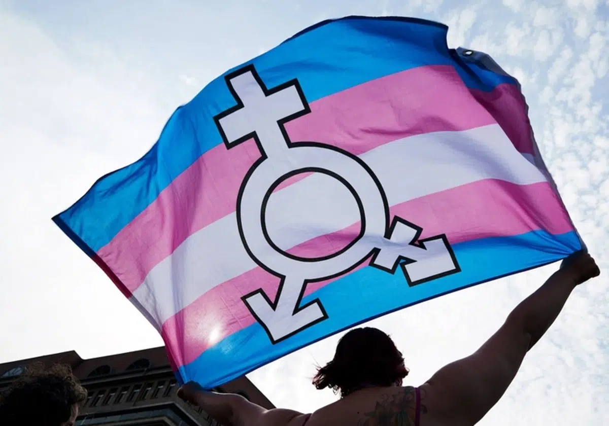 TRANS CÁNCER