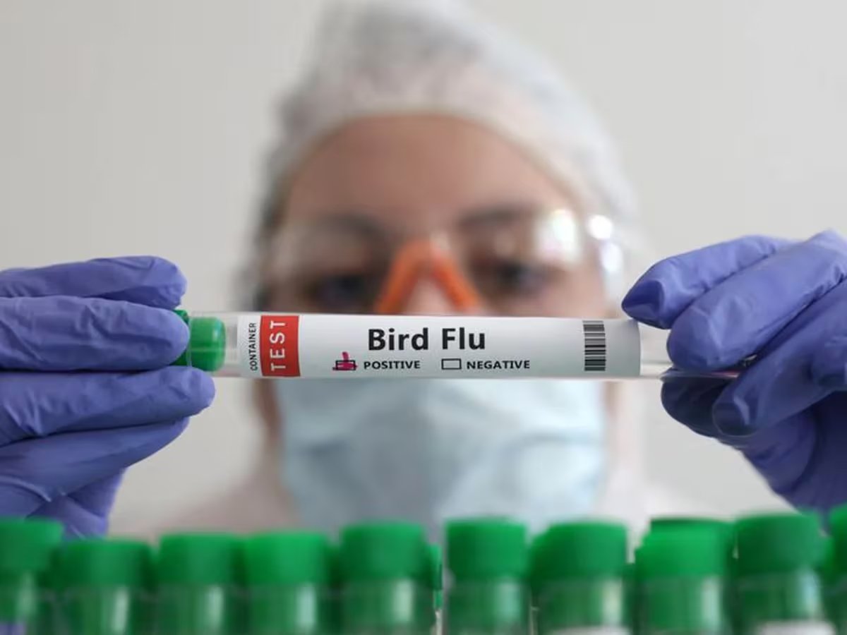 BIRD-FLU