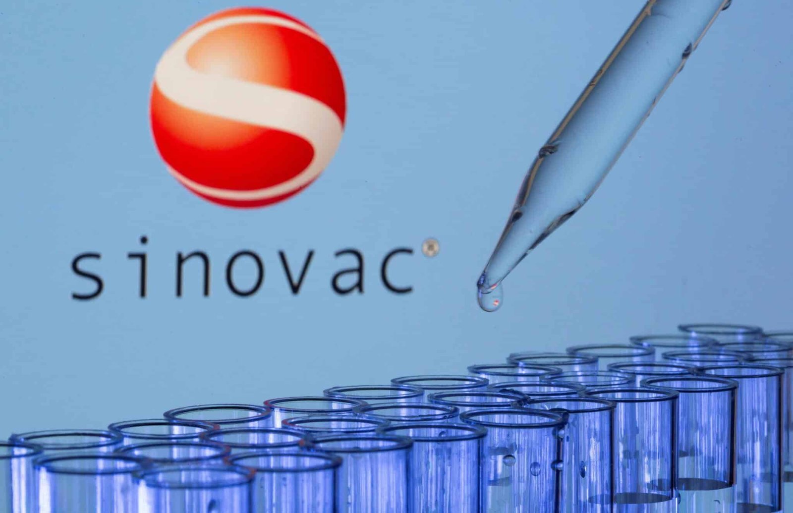 FILE PHOTO: Test tubes are seen in front of a displayed Sinovac logo in this illustration taken
