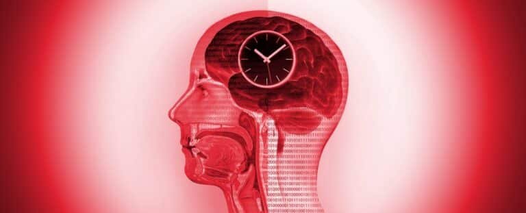 CEREBRO