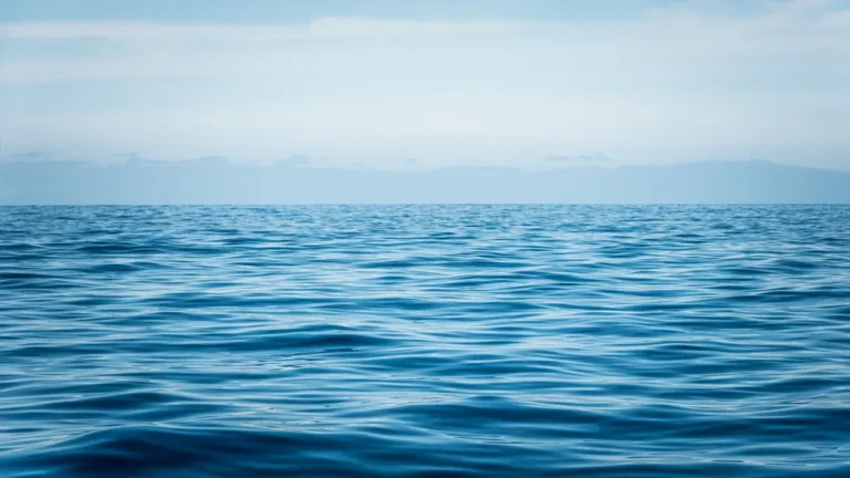 OCEAN