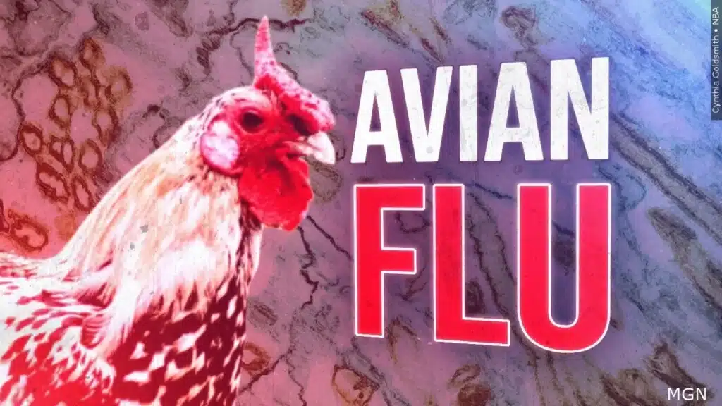 FLU