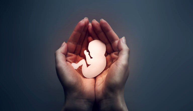 INFORME-ABORTO-ESPANA-OBSERVATORIO-DEMOGRAFICO-CEFAS
