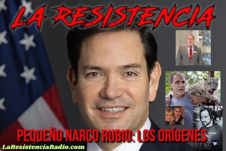 WhatsApp Image 2025-12-26 at 15.58.34