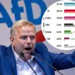 AfD